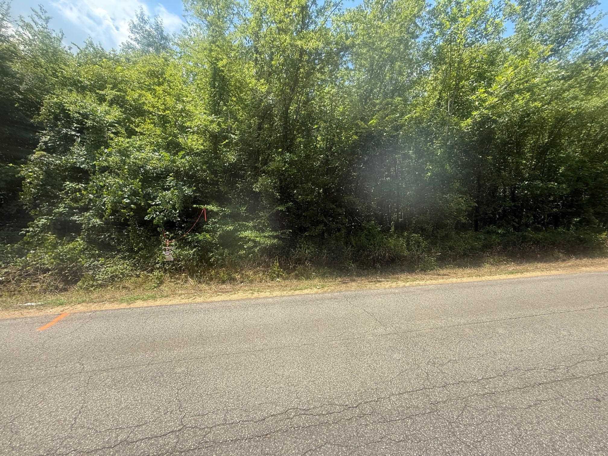 4 Coffee Landing Road Adamsville, TN 38310 - Photo 4 of 16 View of asphalt road