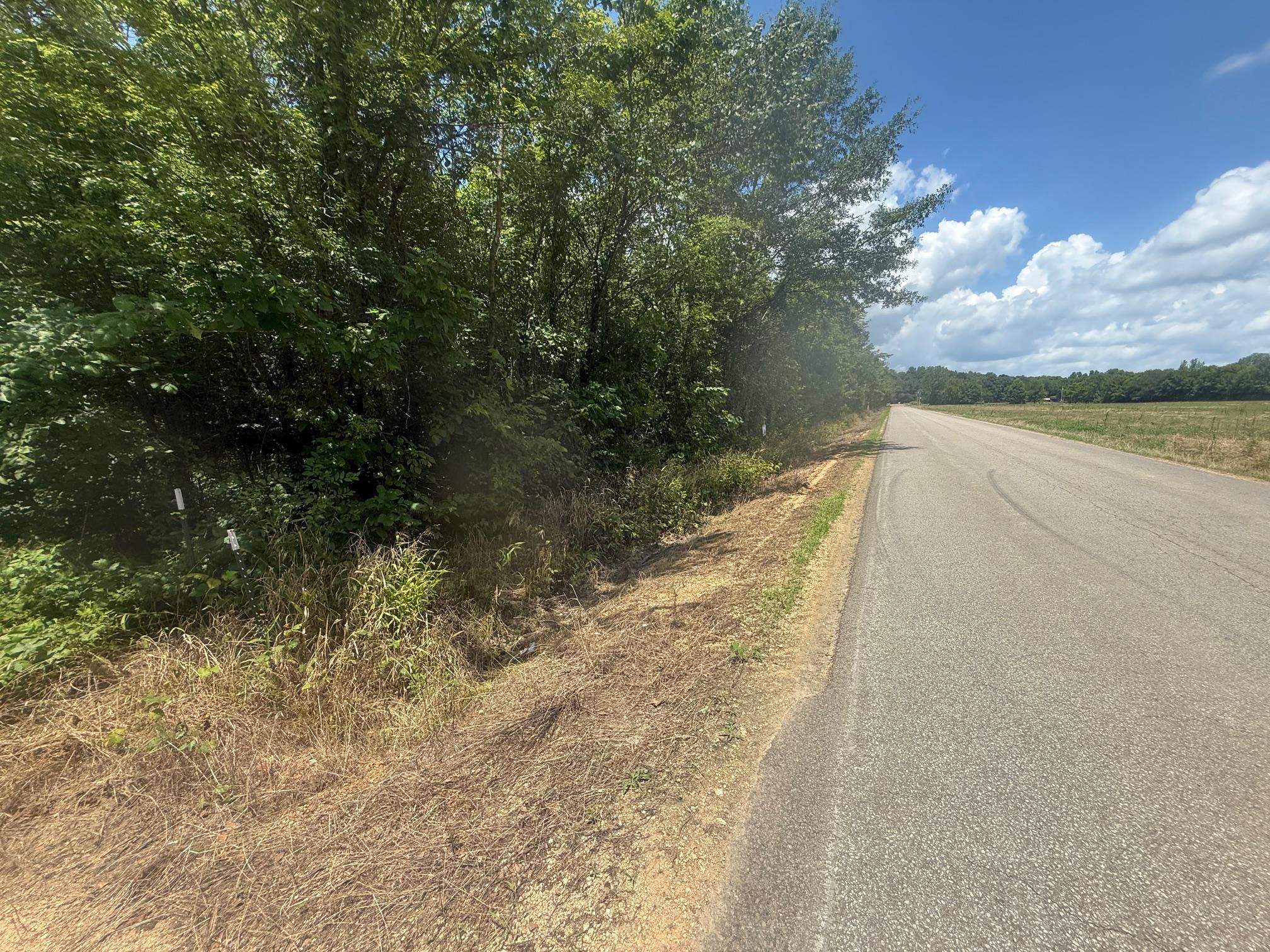 4 Coffee Landing Road Adamsville, TN 38310 - Photo 5 of 16 View of asphalt road