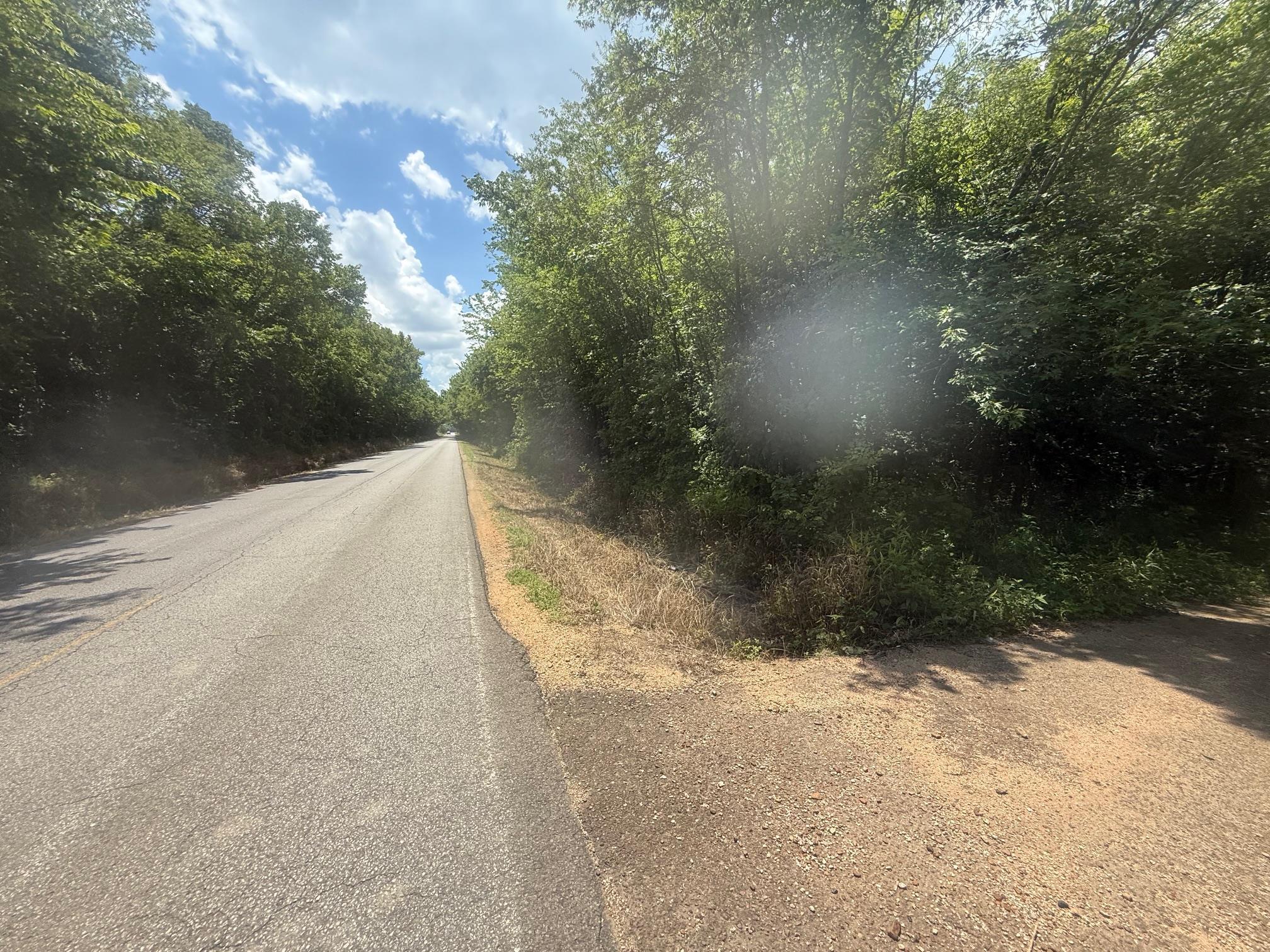4 Coffee Landing Road Adamsville, TN 38310 - Photo 6 of 16 View of asphalt road
