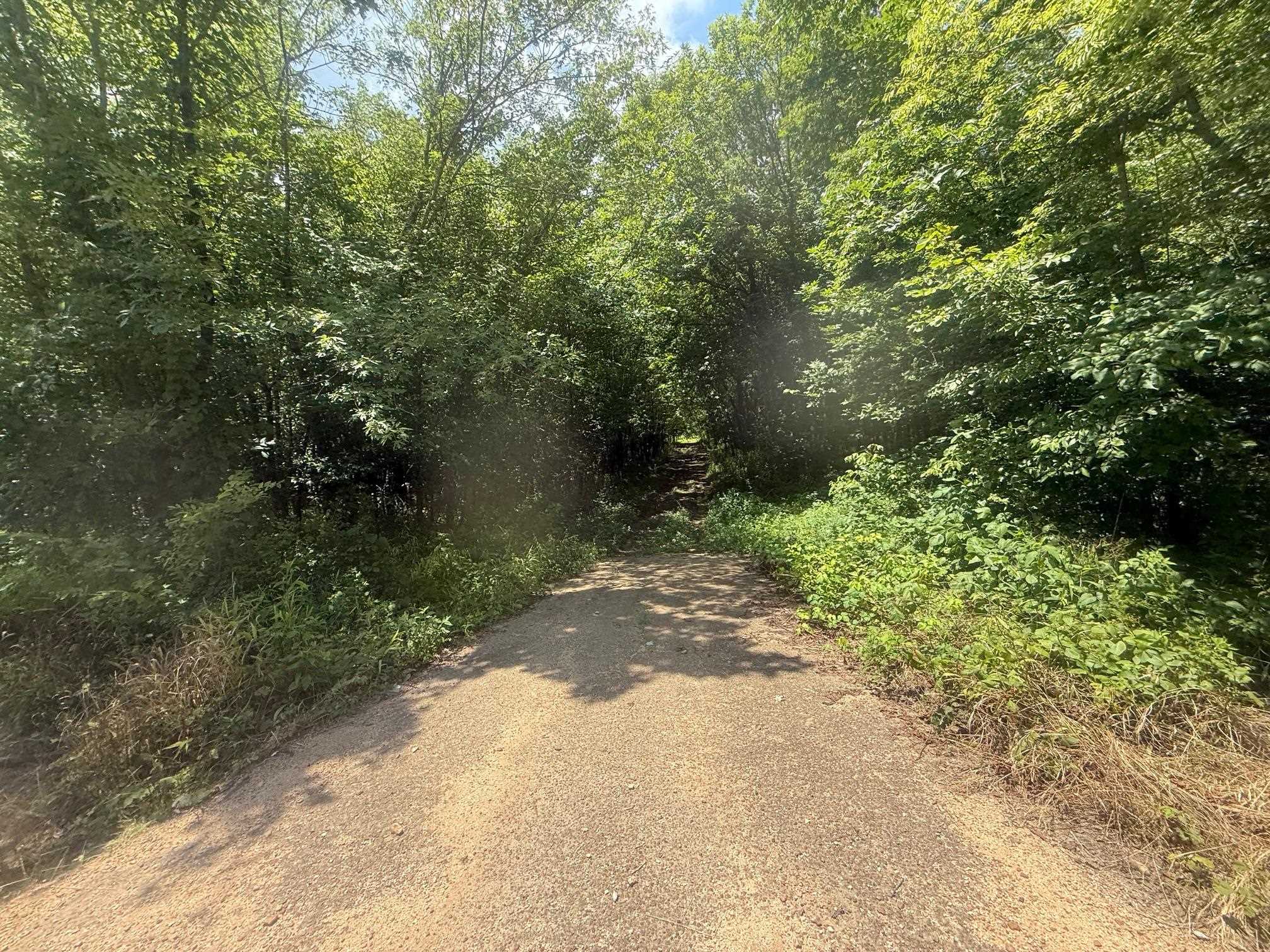 4 Coffee Landing Road Adamsville, TN 38310 - Photo 7 of 16 View of road featuring a forest view