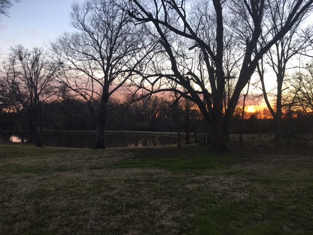 1 Upshaw Road Pickens, MS 39146 - Photo 2 of 18 Photo 2