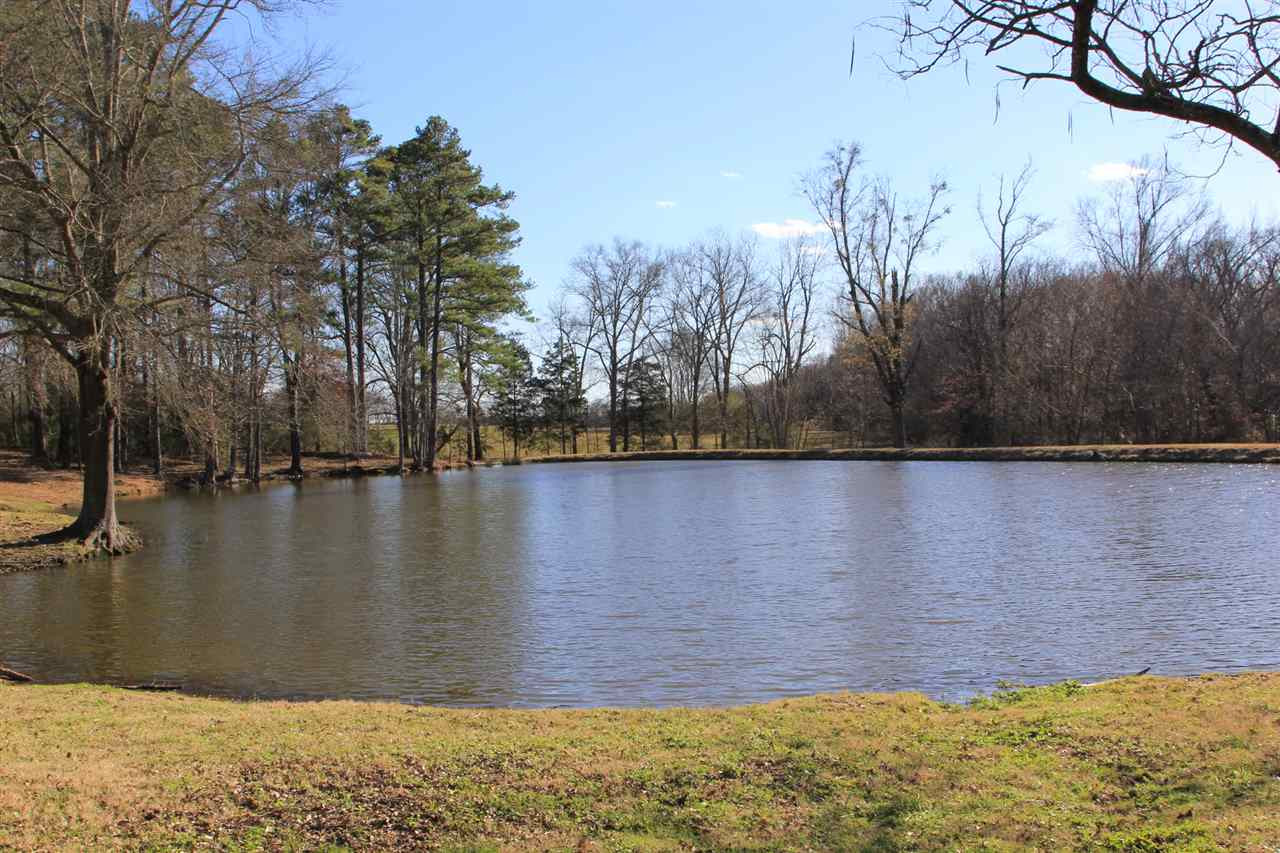 1 Upshaw Road Pickens, MS 39146 - Photo 5 of 18 Photo 5