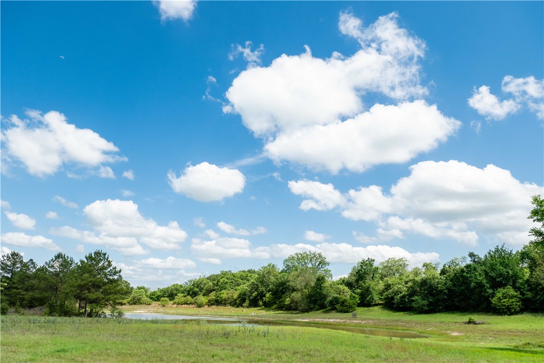 2199 Navasota Ridge Navasota, TX 77868 - Photo 2 of 30
