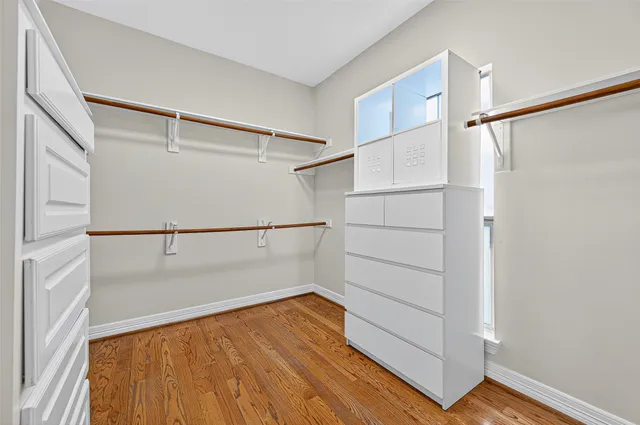 a view of a garden with a lake