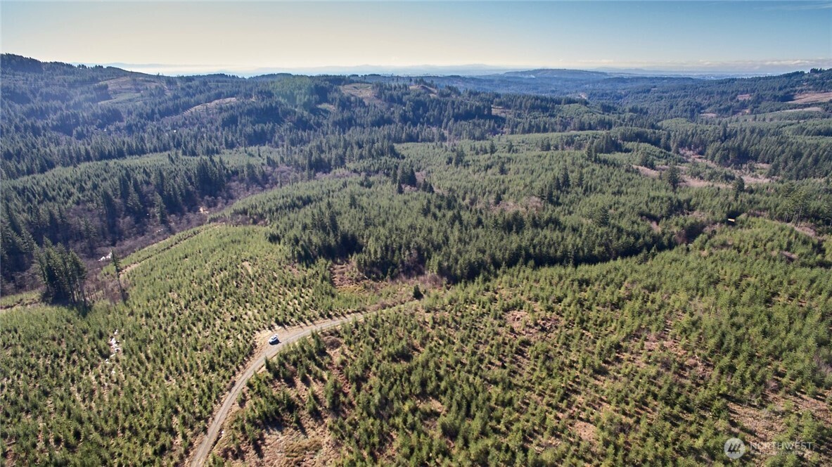 4 Northeast Jones Creek Road Camas, WA 98607 - Photo 19 of 29 an aerial view of residential house and green space