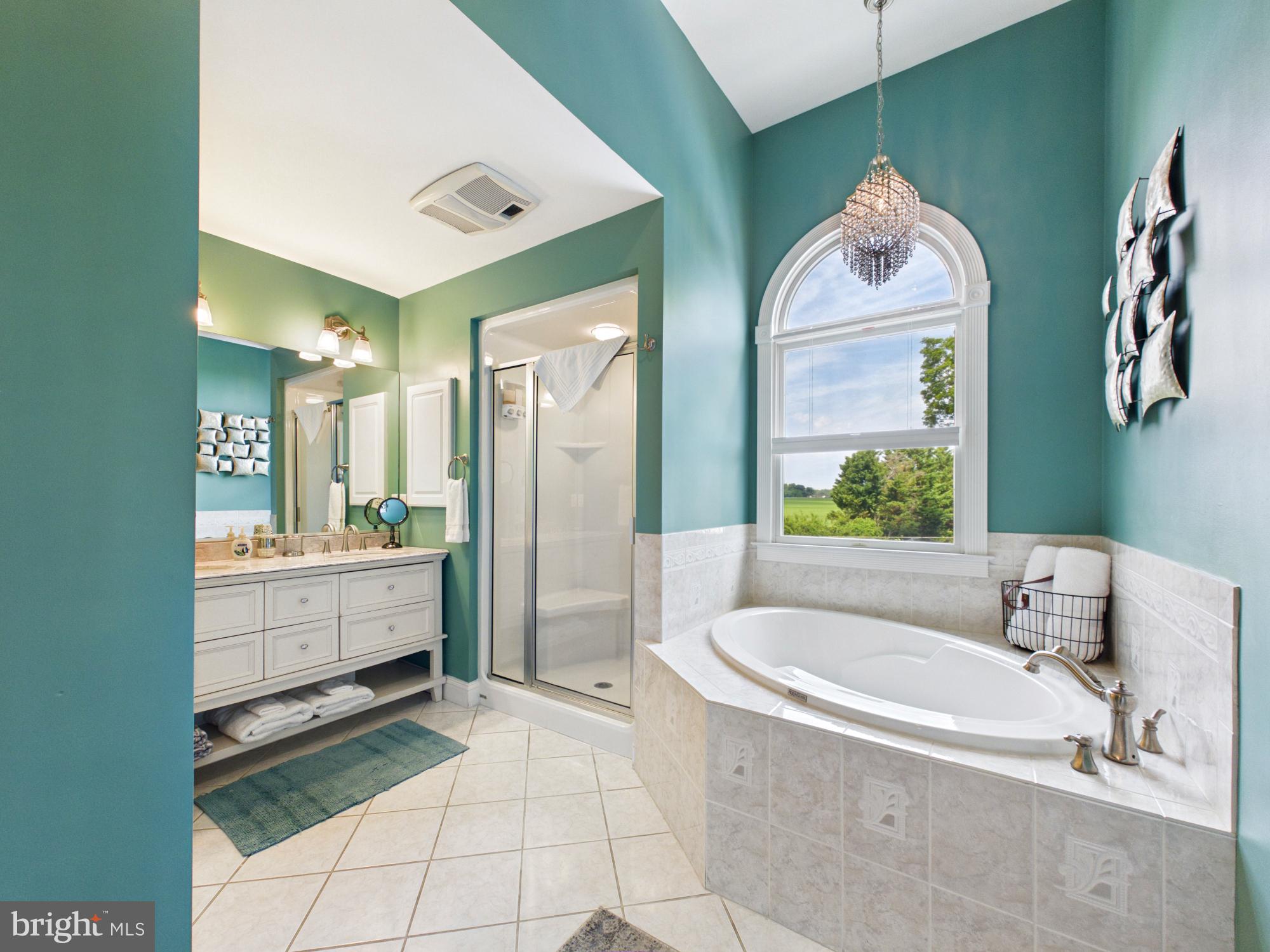 26285 Broadkill Road Milton, DE 19968 - Photo 32 of 98 Robbins Room (En-Suite Bath with Soaking Tub)