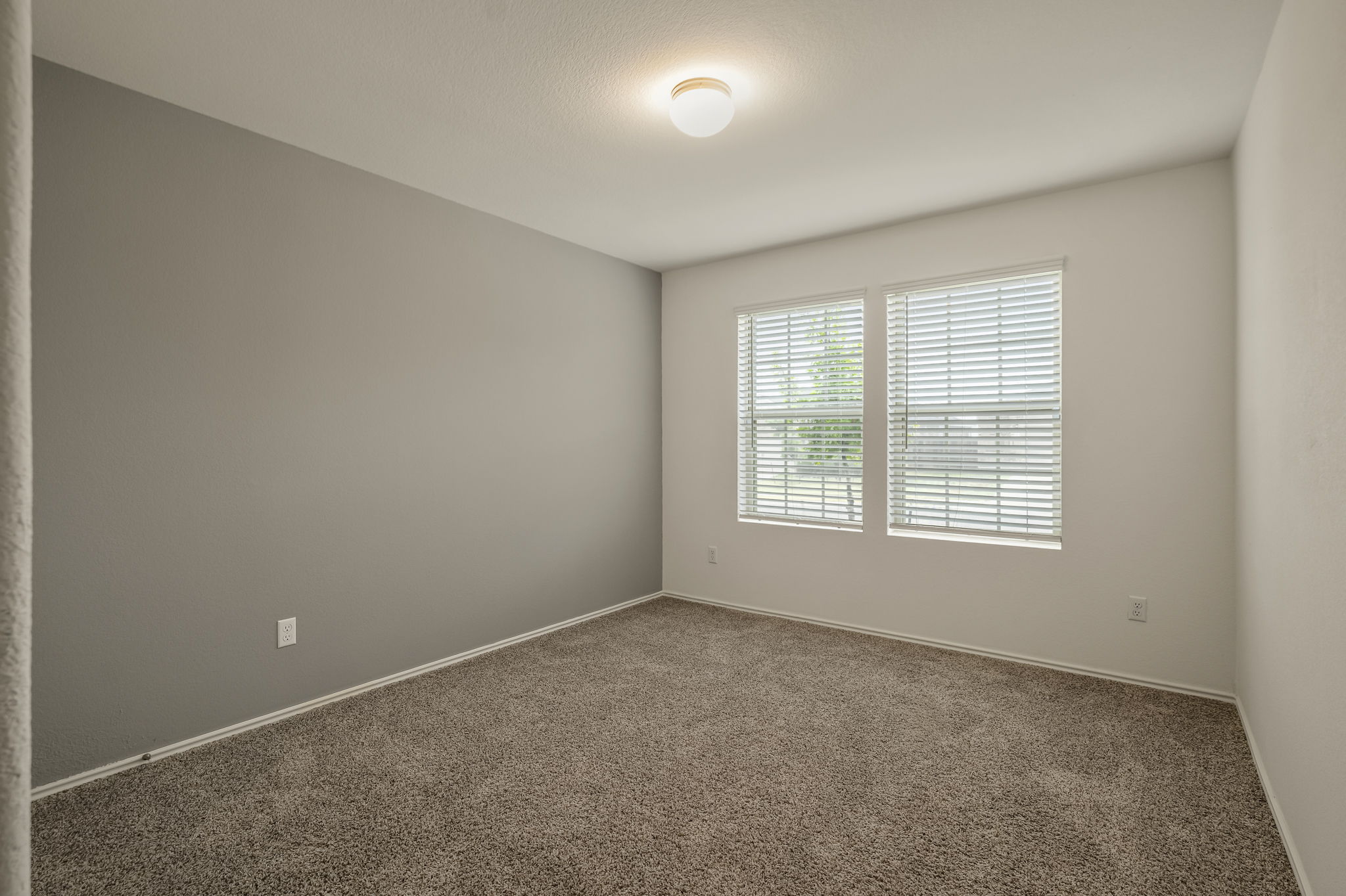 3489 Pauling Loop Round Rock, TX 78665 - Photo 19 of 32 The secondary bedroom has soft carpet and a view out to the front yard.