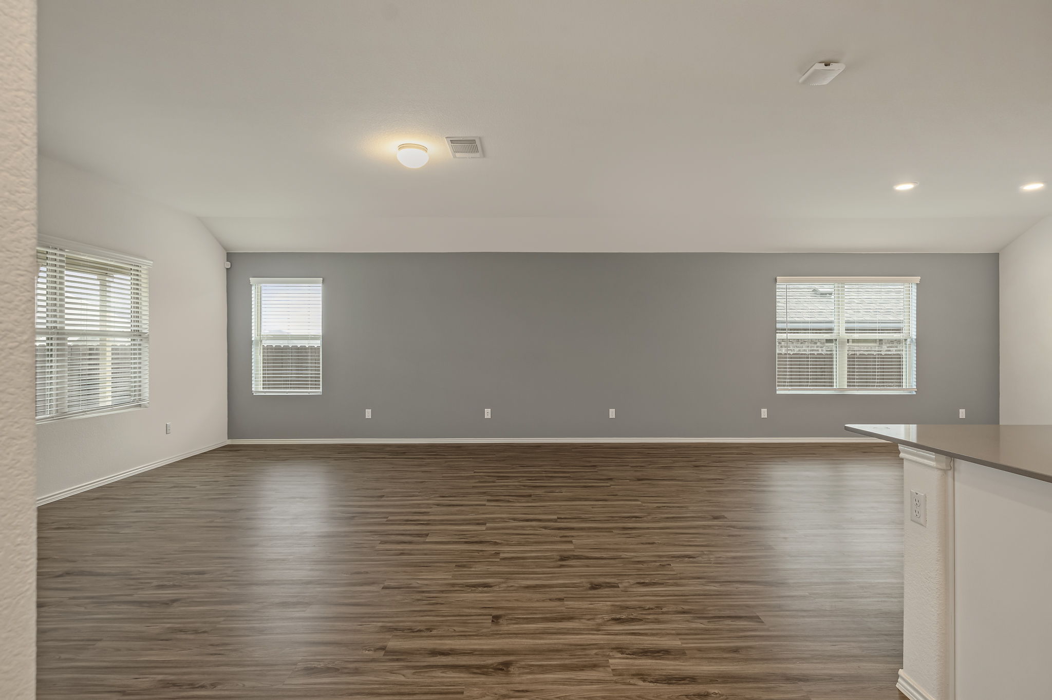 3489 Pauling Loop Round Rock, TX 78665 - Photo 6 of 32 Open Concept Living and Dining with windows to let in the natural light and vinyl floors for easy clean up.