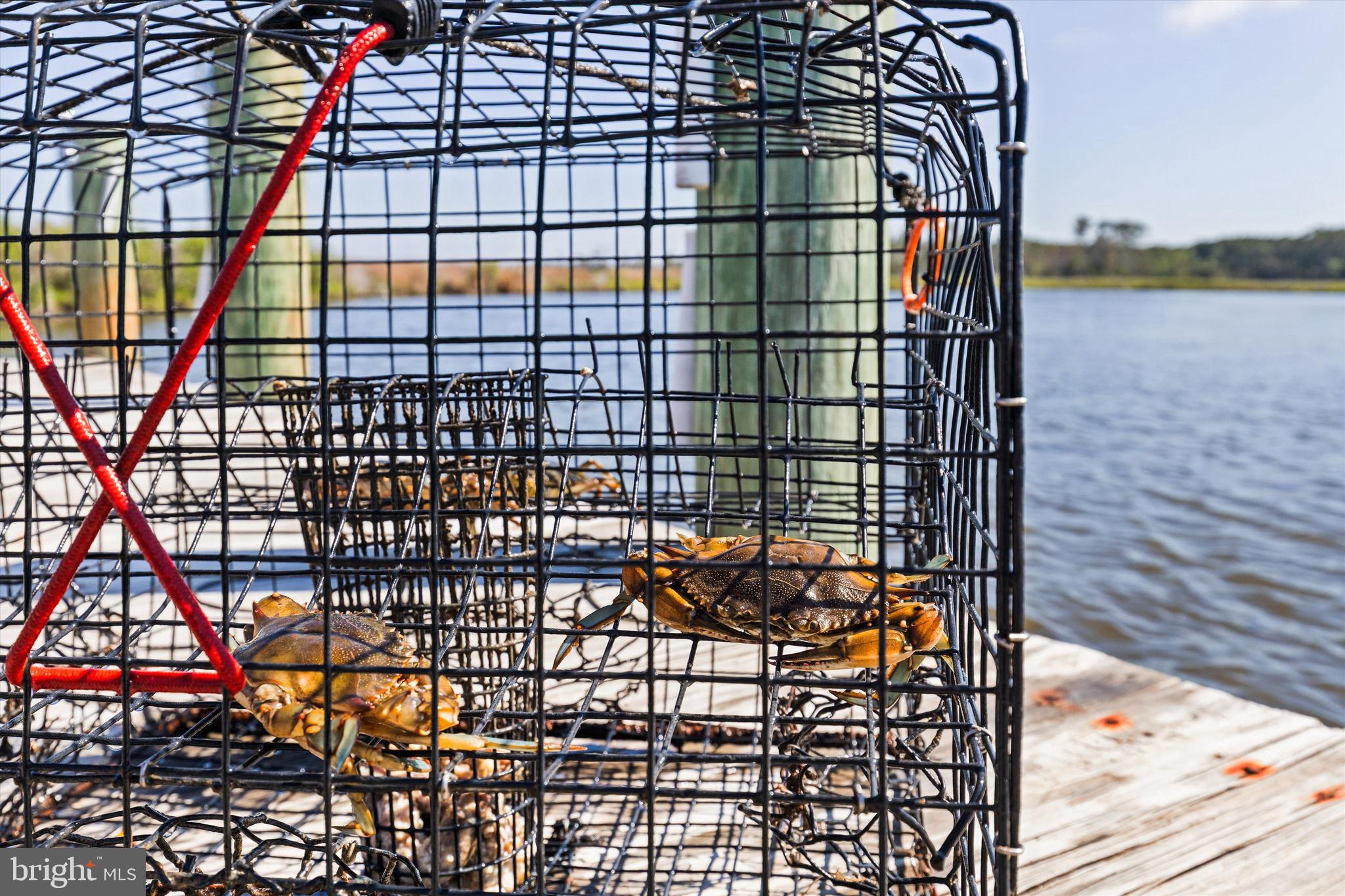 3620 Country Club Road Crisfield, MD 21817 - Photo 43 of 62 a view of a glass building from a balcony