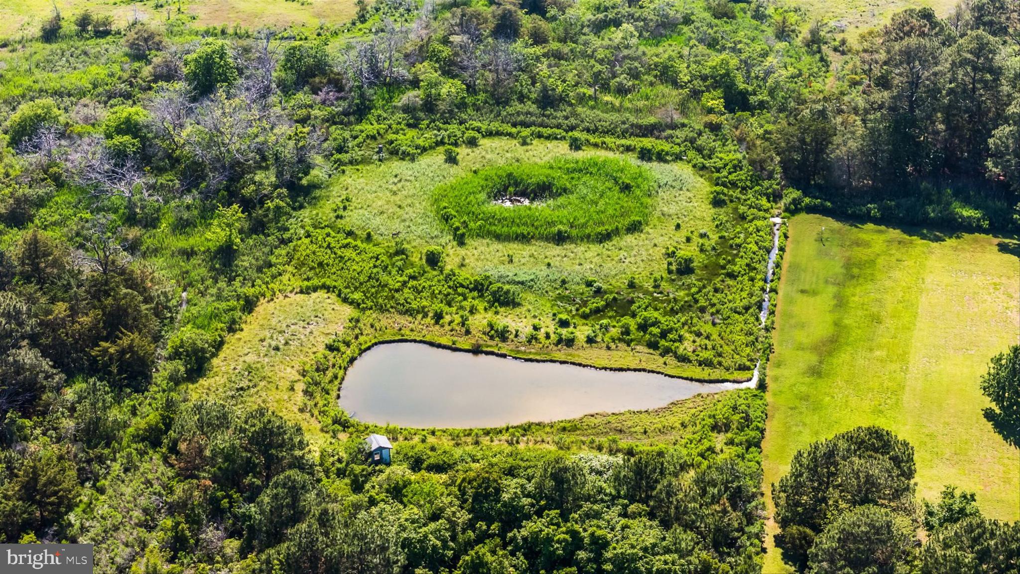 3620 Country Club Road Crisfield, MD 21817 - Photo 55 of 62 a view of a garden