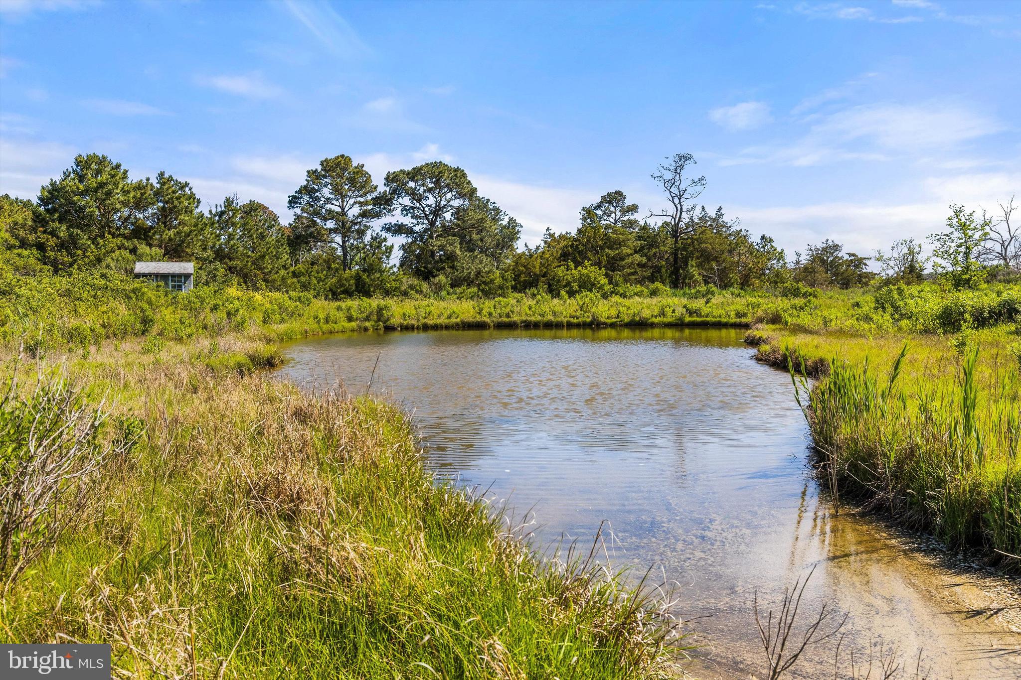 3620 Country Club Road Crisfield, MD 21817 - Photo 6 of 62 a view of a lake with houses in the back