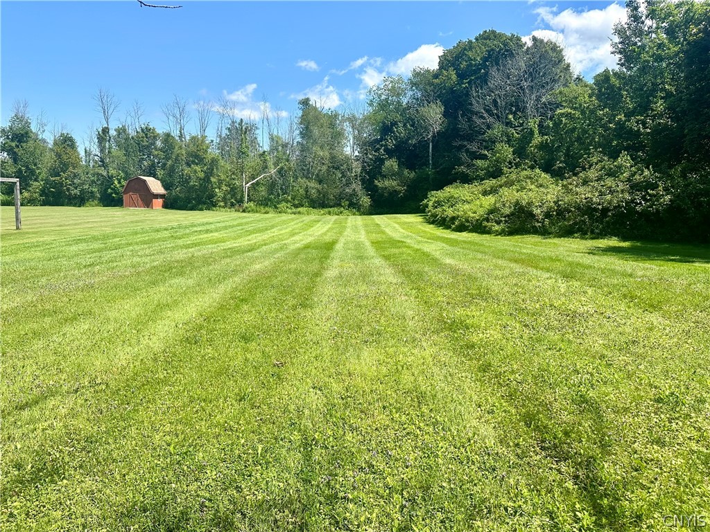 962 County Rte 29 Scriba, NY 13126 - Photo 29 of 29 Back Yard