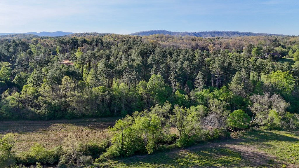 3872 Nc Highway Murphy, NC 28906 - Photo 5 of 19