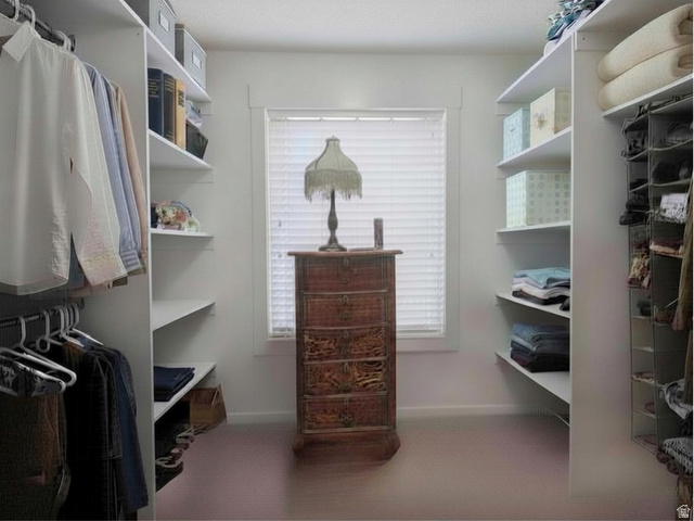 202 375 West Providence, UT 84332 - Photo 17 of 61 Premier bedroom's walk in closet with convenient shelving and plenty of hanging and storage area and carpet flooring
