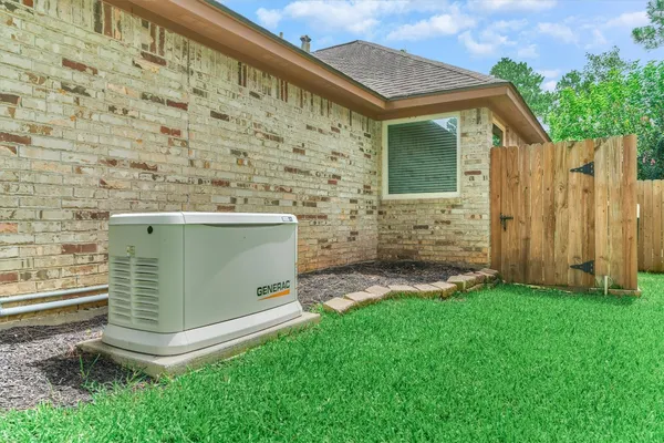 a view of a backyard with plants
