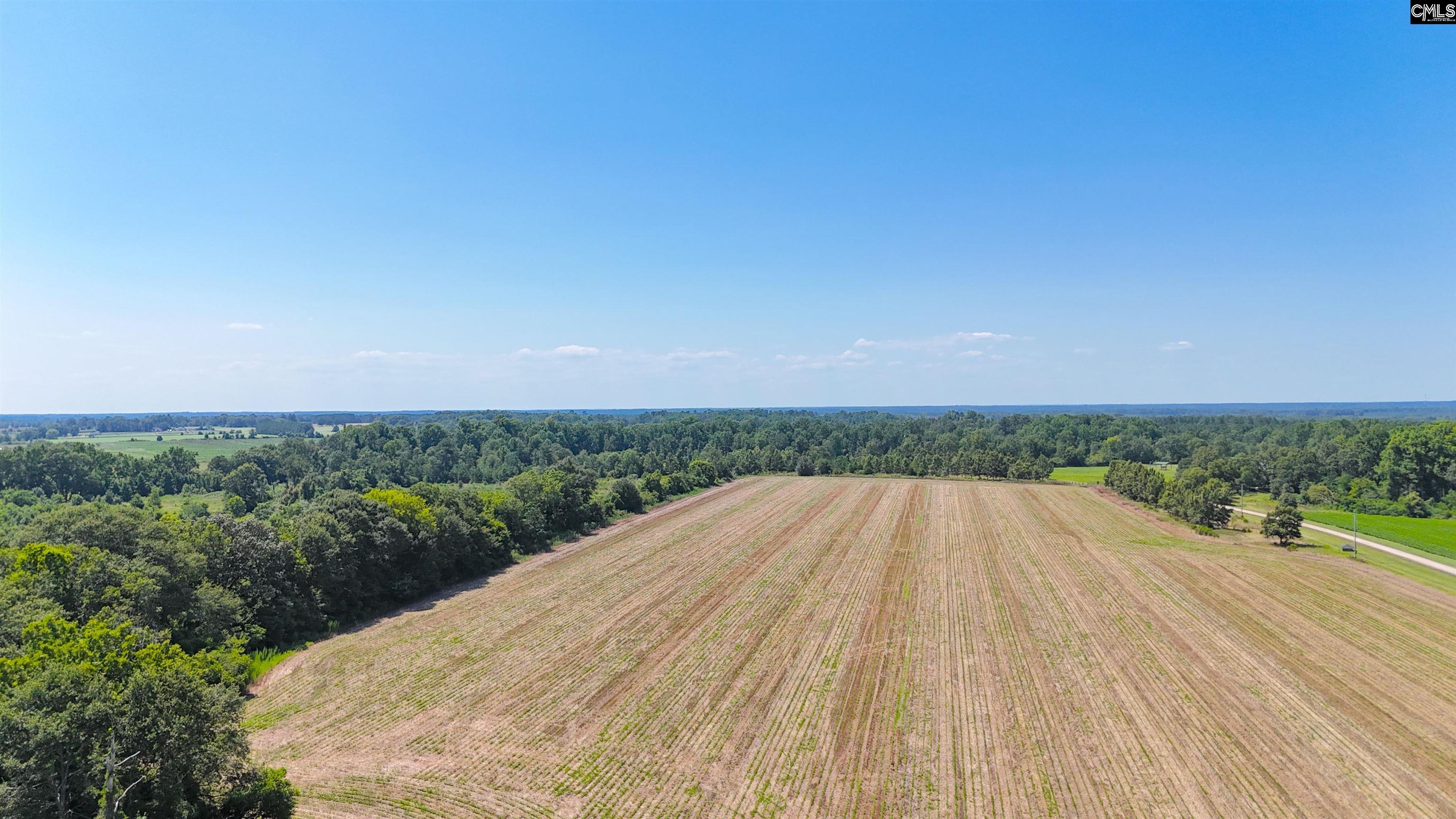0 Joes Trail Road Monetta, SC 29105 - Photo 2 of 11