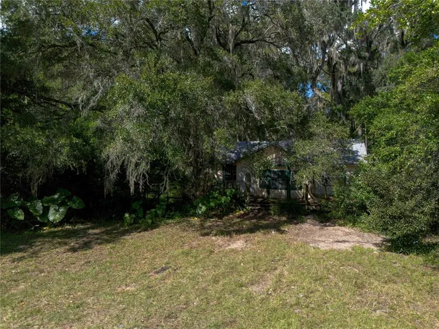 a view of a forest with a yard