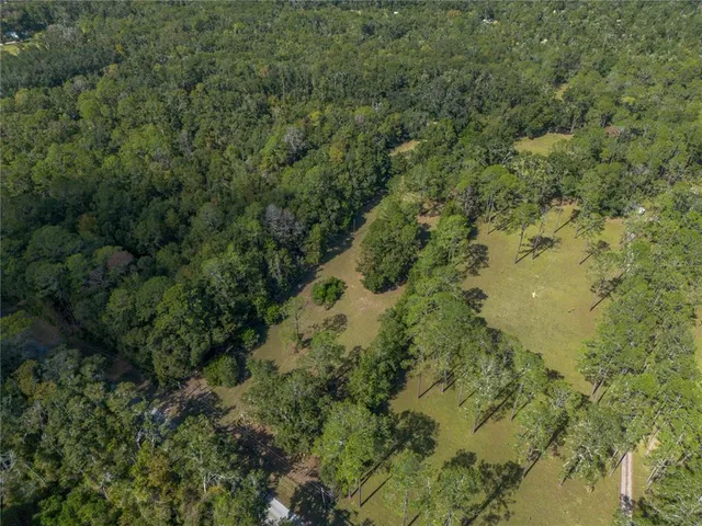 a view of a lush green forest