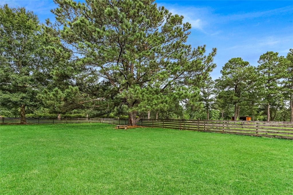 81306 Robinson Road Folsom, LA 70437 - Photo 20 of 31 Gallery Image 20