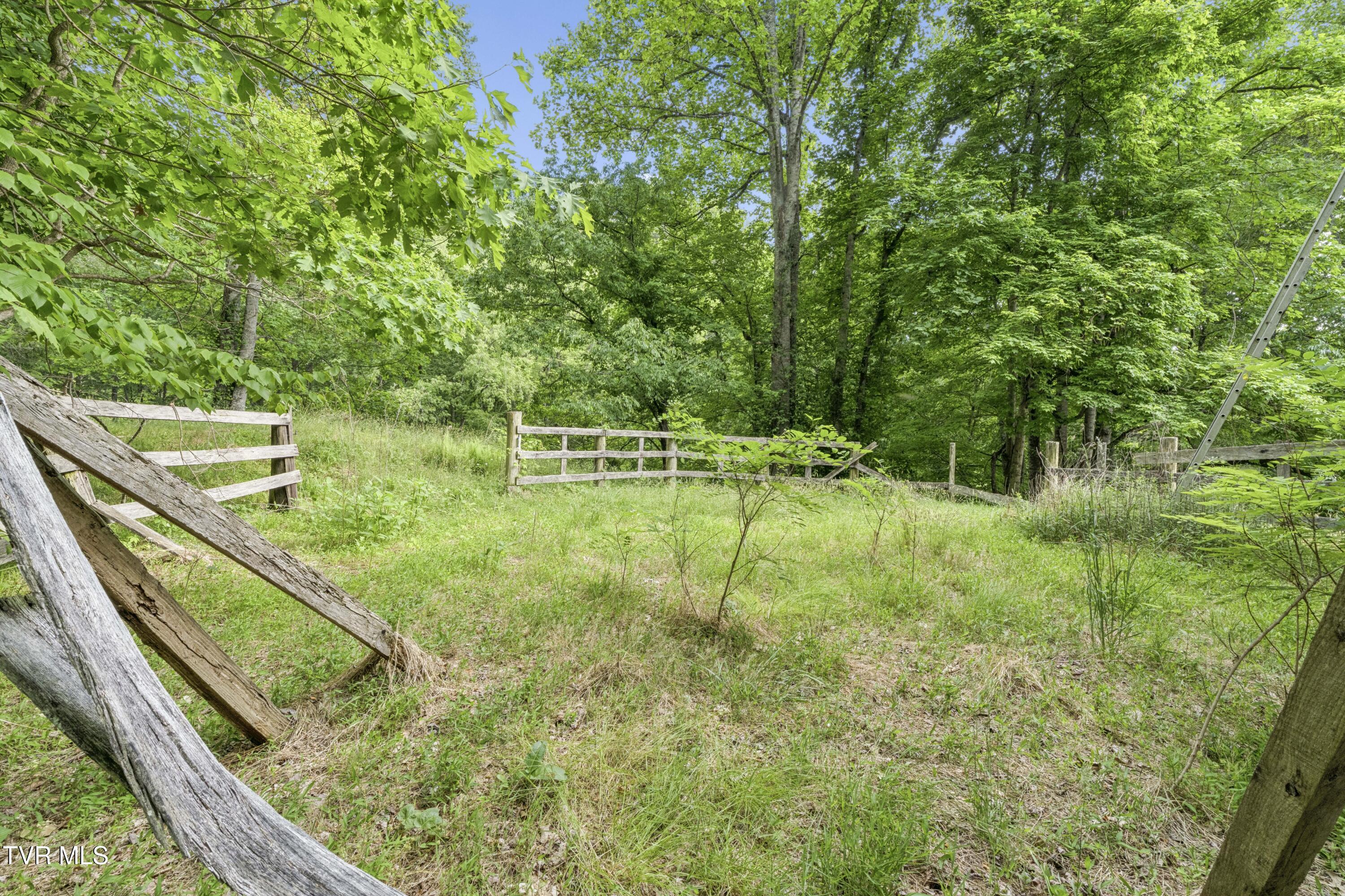128 Lum McIntosh Road Erwin, TN 37650 - Photo 75 of 106 LumMc--58