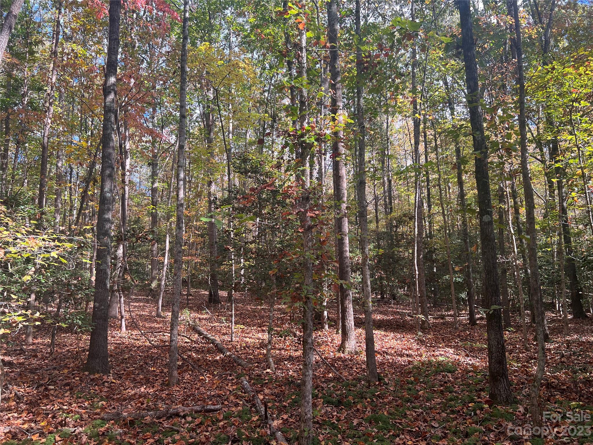 0 Huskey Road Ellenboro, NC 28040 - Photo 11 of 12 Gallery Image 11