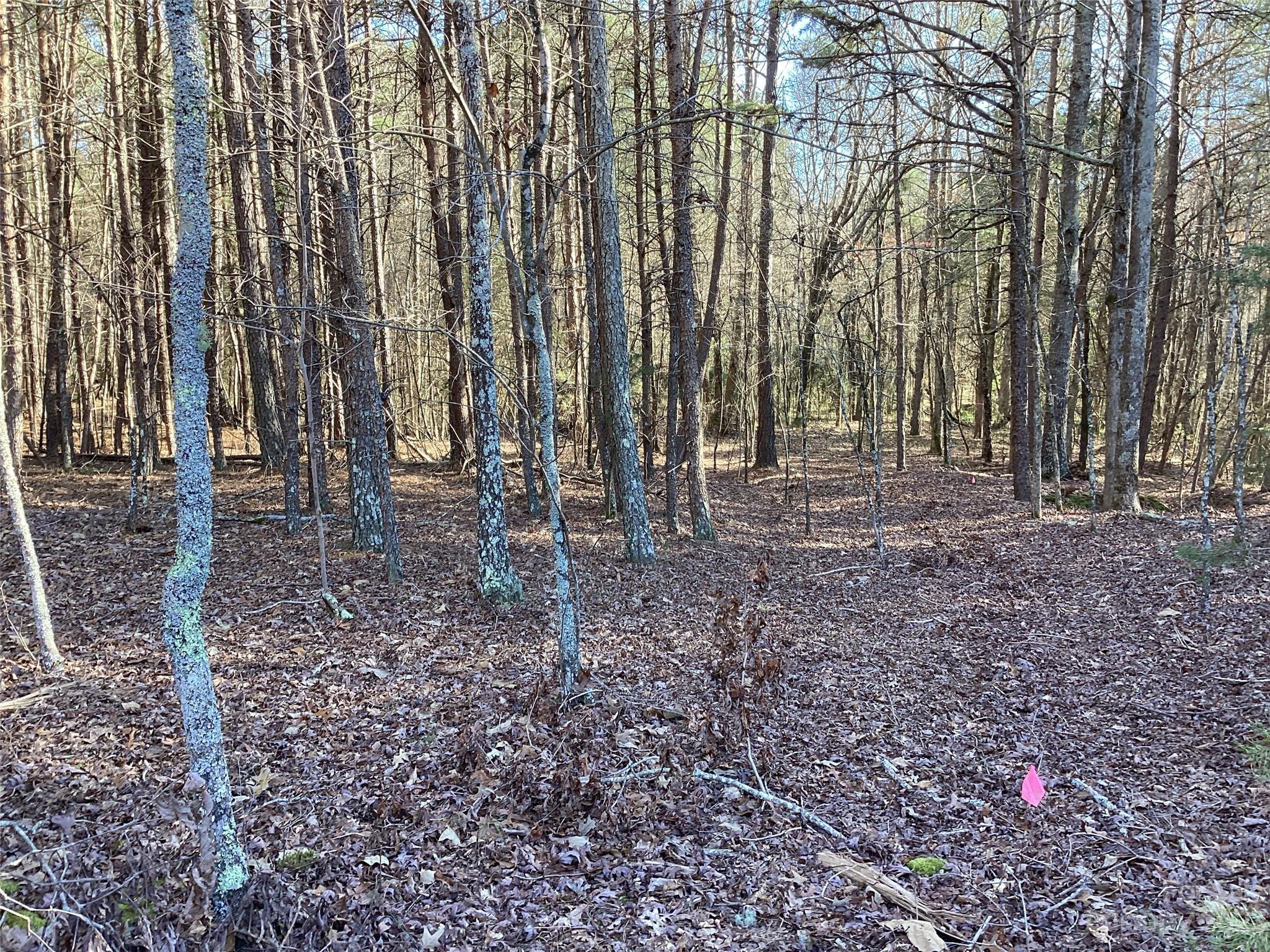 0 Huskey Road Ellenboro, NC 28040 - Photo 8 of 12 Gallery Image 8