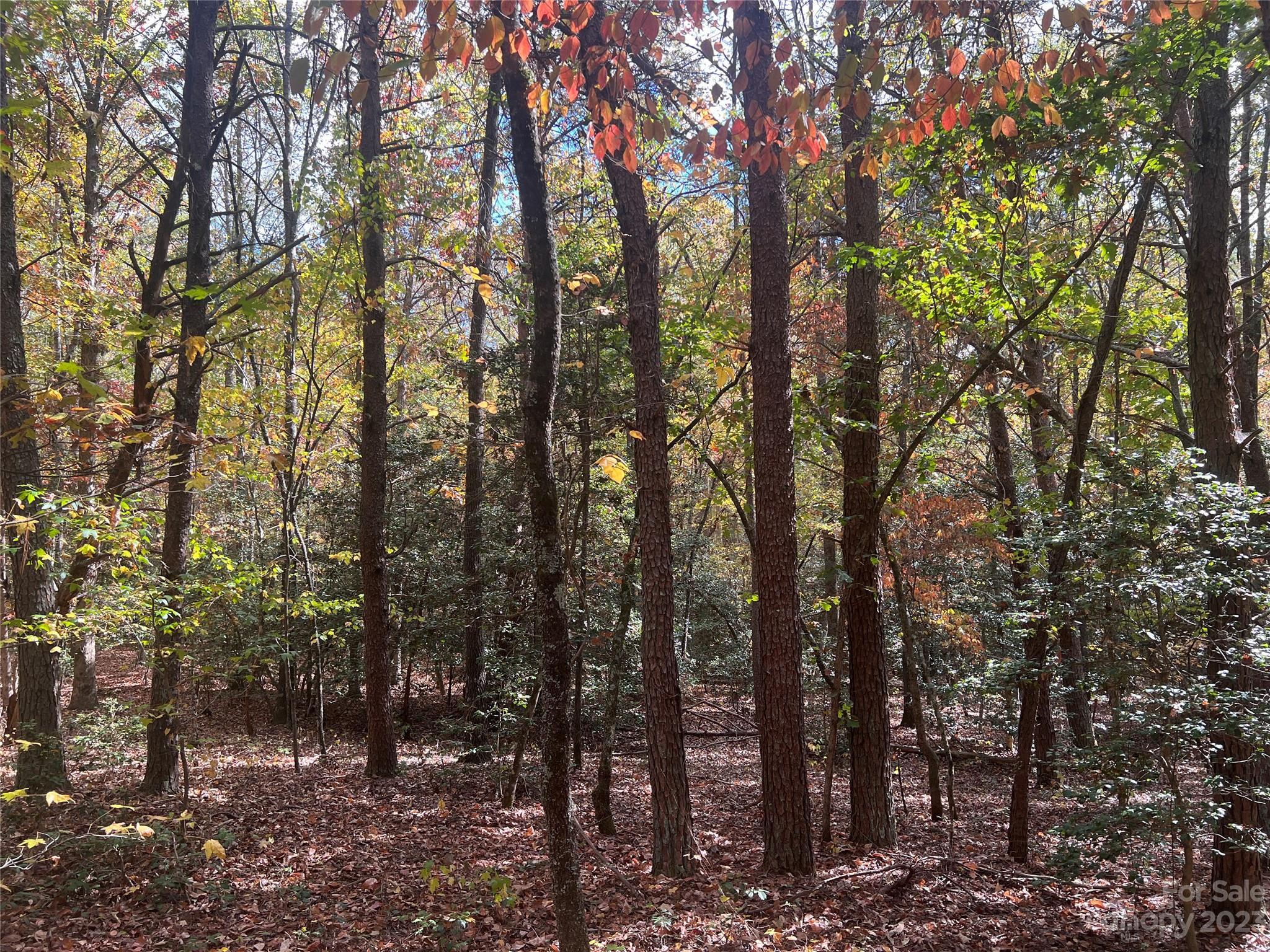 0 Huskey Road Ellenboro, NC 28040 - Photo 10 of 12 Gallery Image 10