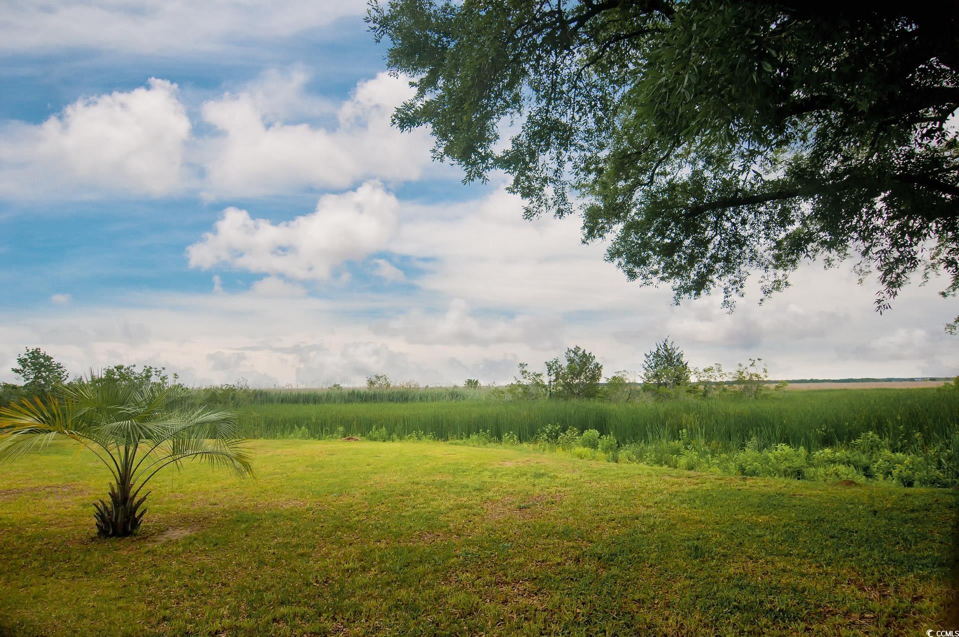 640 Willow Bank Road Georgetown, SC 29440 - Photo 3 of 18