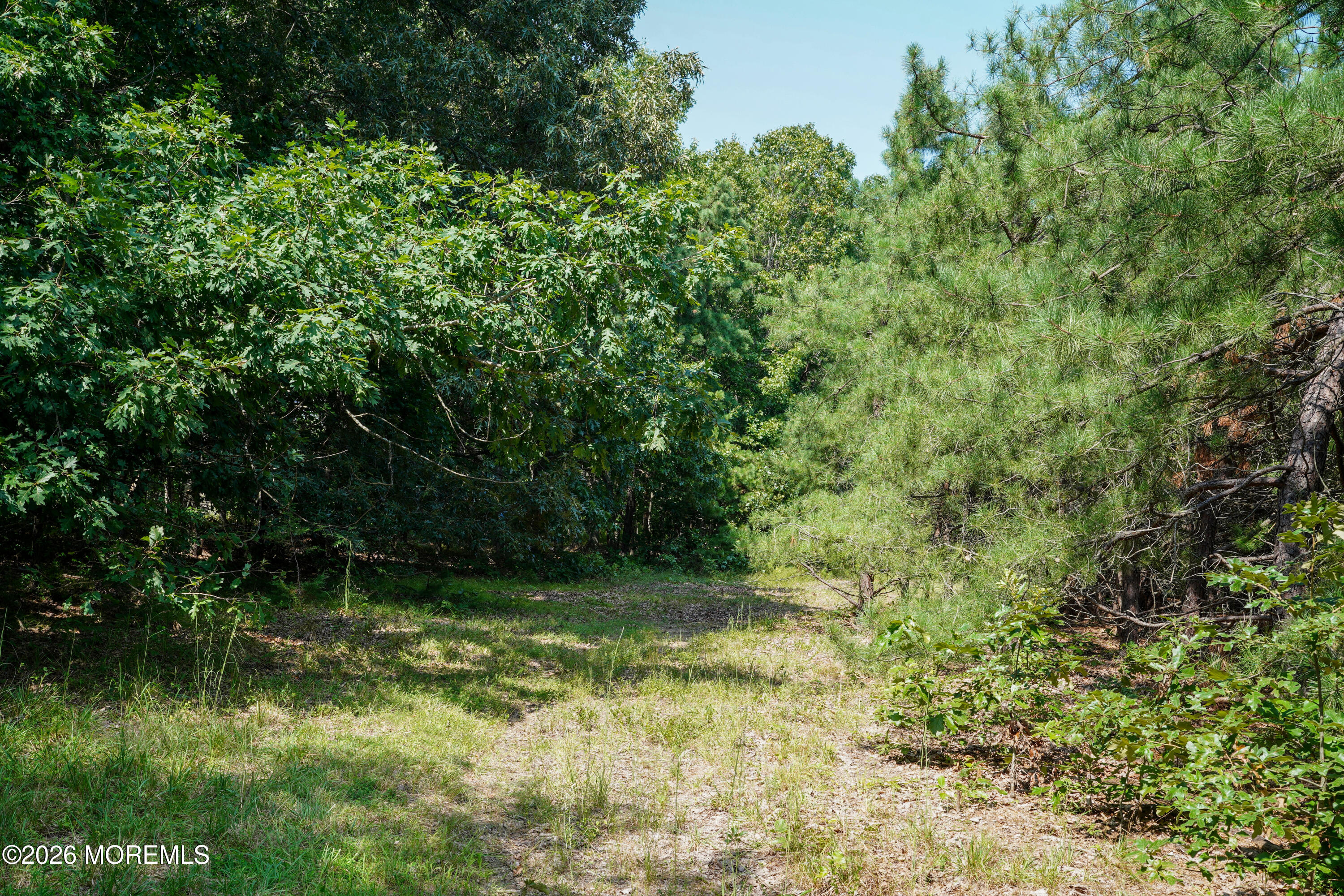 448 Ely Harmony Road Freehold, NJ 07728 - Photo 23 of 93 DSC05257