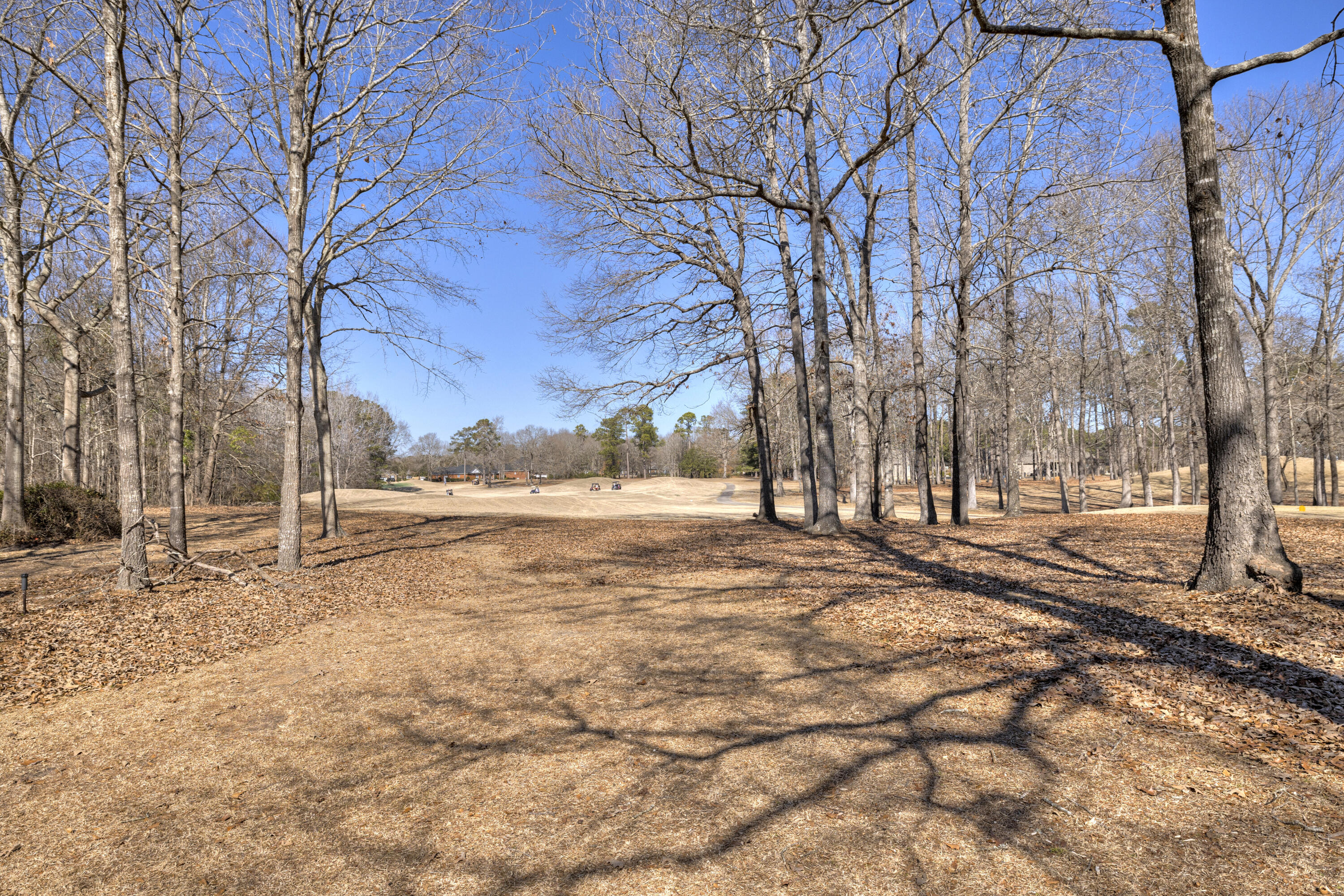 52 Ridge Lake Drive Manning, SC 29102 - Photo 2 of 57 10