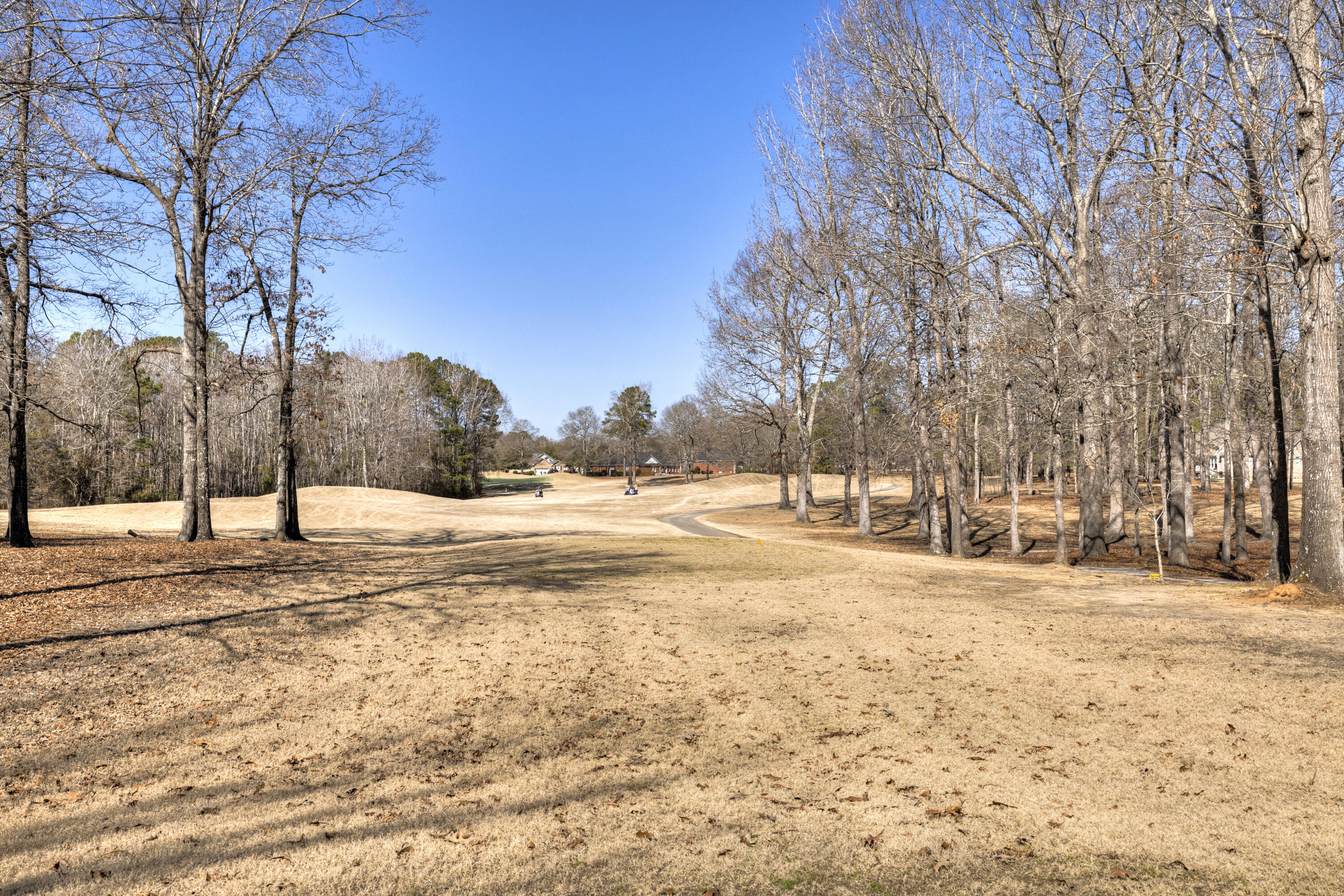 52 Ridge Lake Drive Manning, SC 29102 - Photo 3 of 57 12
