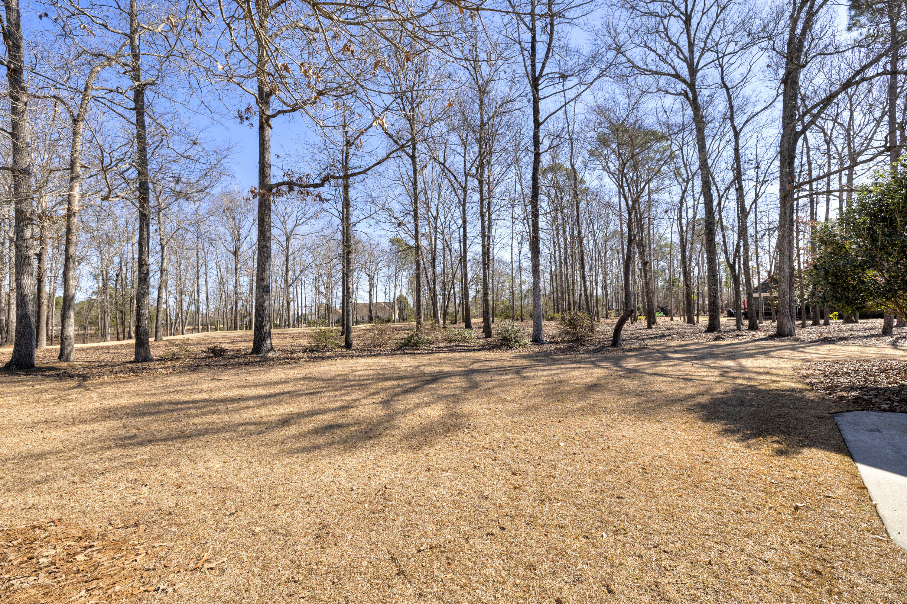 52 Ridge Lake Drive Manning, SC 29102 - Photo 5 of 57 11