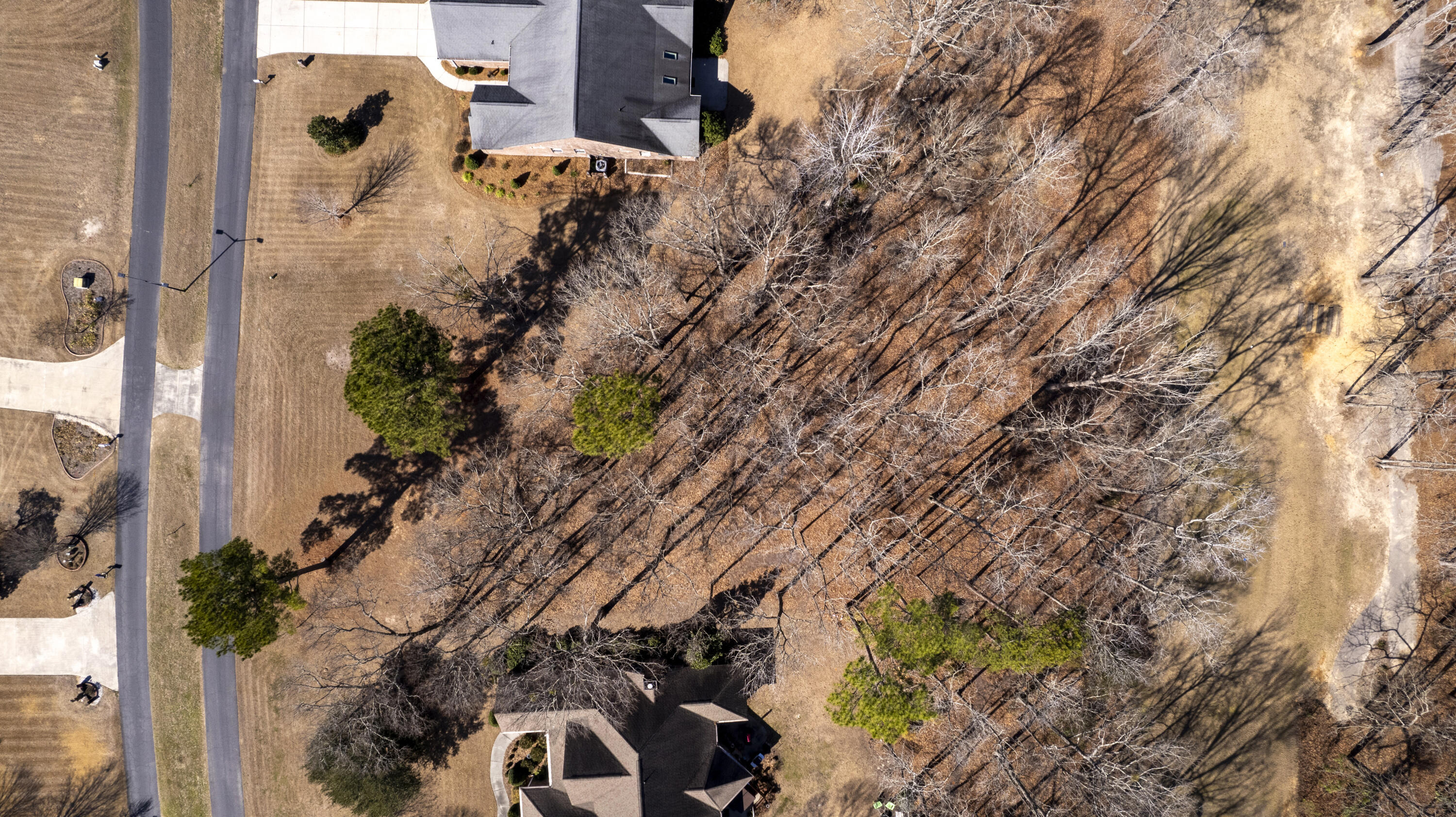 52 Ridge Lake Drive Manning, SC 29102 - Photo 55 of 57 32