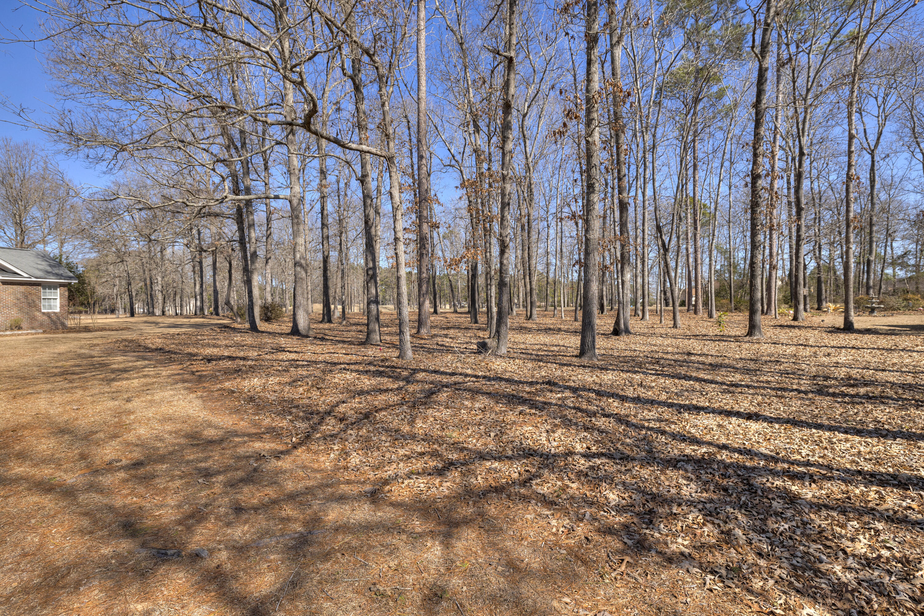 52 Ridge Lake Drive Manning, SC 29102 - Photo 56 of 57 06