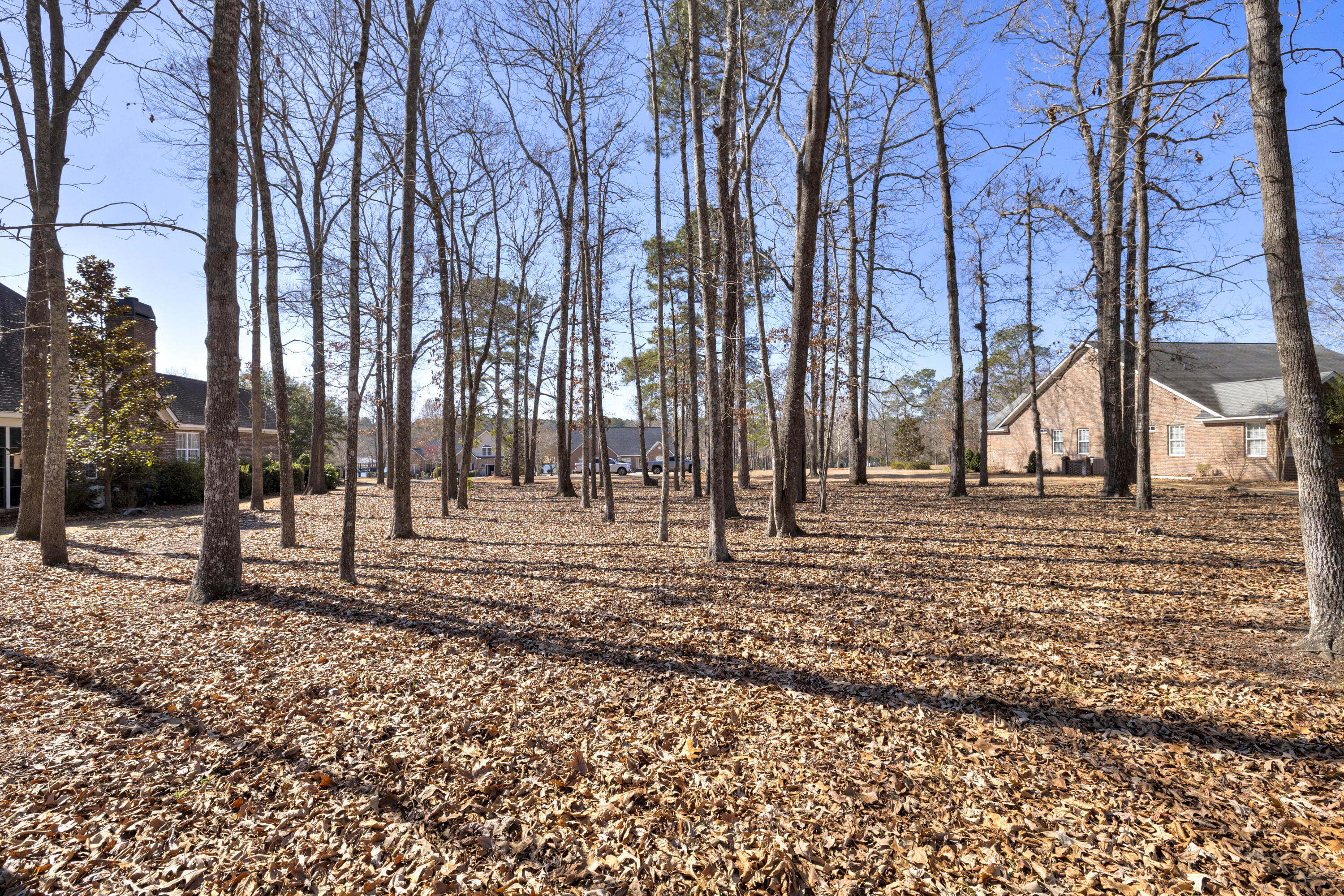 52 Ridge Lake Drive Manning, SC 29102 - Photo 57 of 57 15