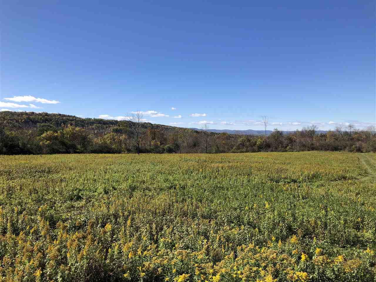 785 Mapletown Road Root, NY 13317 - Photo 3 of 5 Photo 3