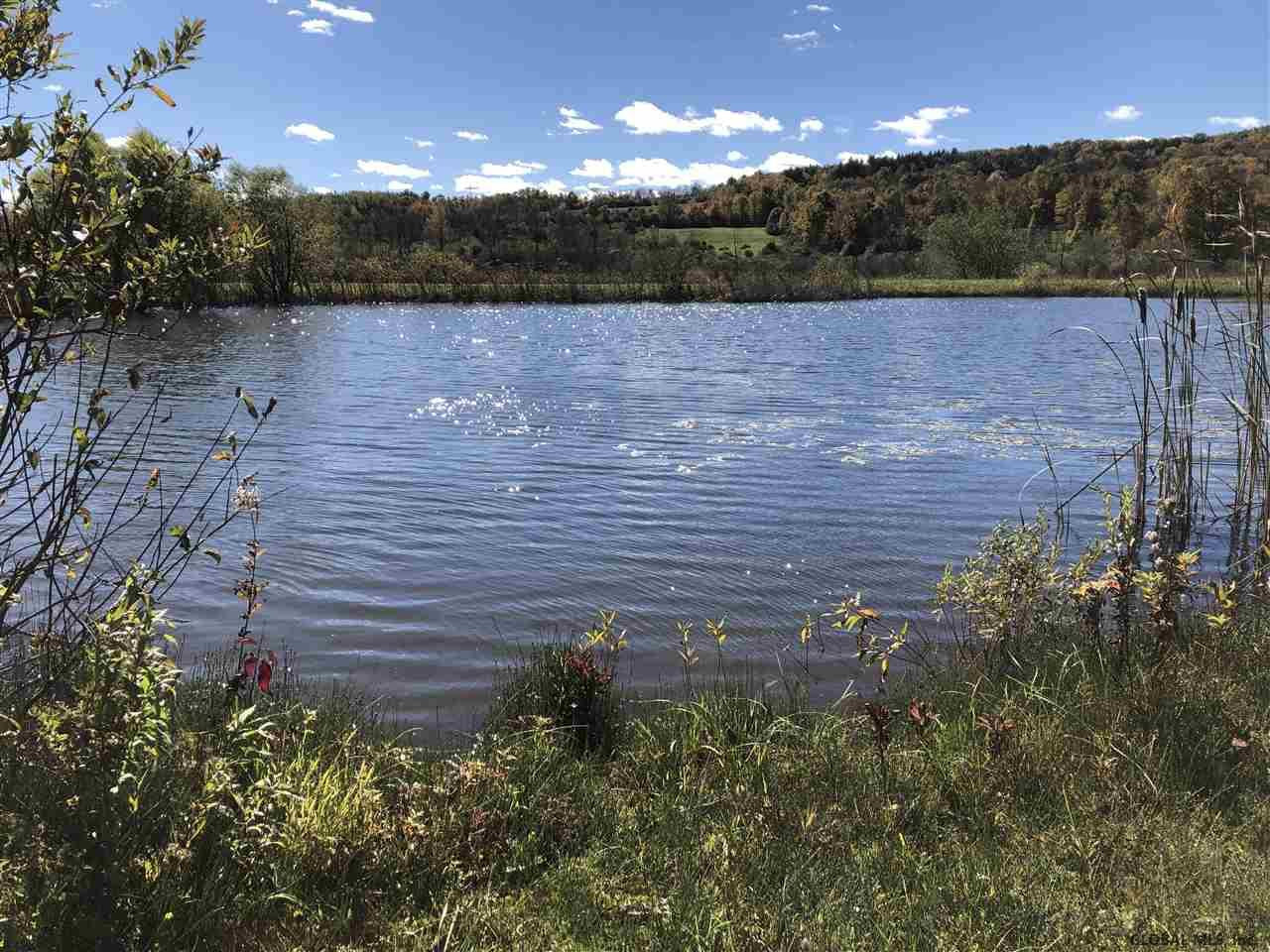 785 Mapletown Road Root, NY 13317 - Photo 5 of 5 Photo 5