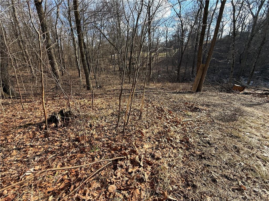 46 Simon Road Cheswick, PA 15024 - Photo 3 of 32 Buck Rubs!