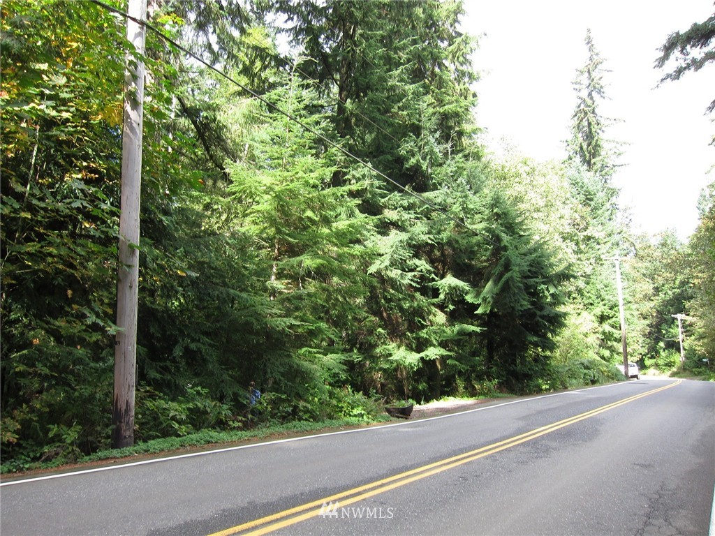 14 Tiger Mountain Road Southeast Issaquah, WA 98027 - Photo 3 of 10 Gallery Image 3