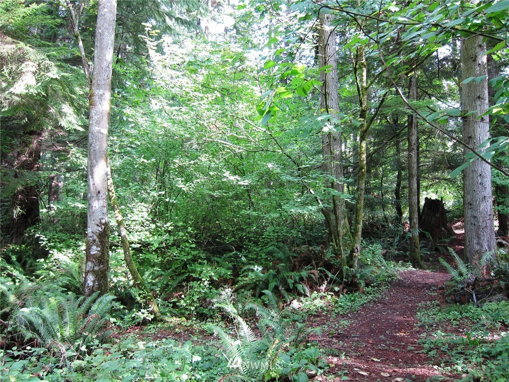 14 Tiger Mountain Road Southeast Issaquah, WA 98027 - Photo 4 of 10 Gallery Image 4