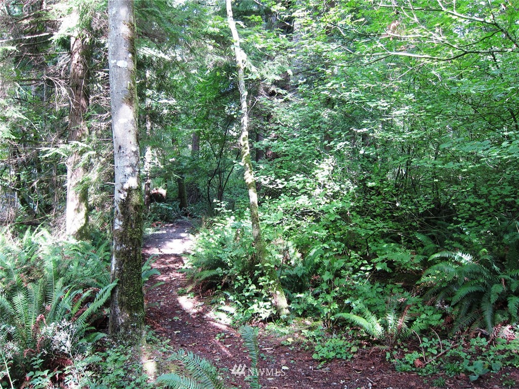 14 Tiger Mountain Road Southeast Issaquah, WA 98027 - Photo 5 of 10 Gallery Image 5
