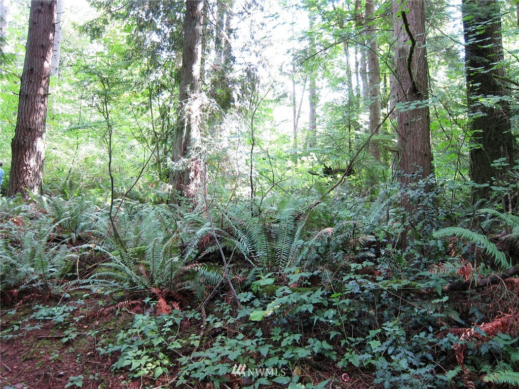 14 Tiger Mountain Road Southeast Issaquah, WA 98027 - Photo 6 of 10 Gallery Image 6