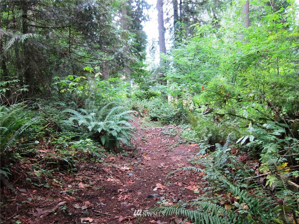 14 Tiger Mountain Road Southeast Issaquah, WA 98027 - Photo 10 of 10 Gallery Image 10
