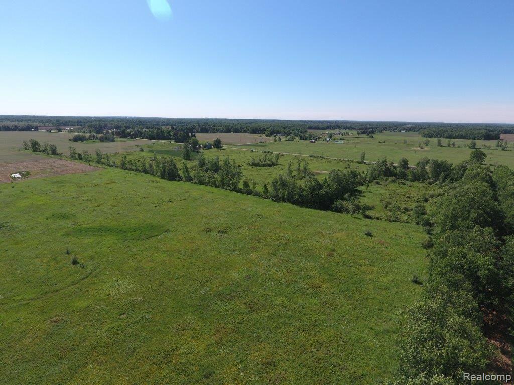 0 Barnes Road North Branch, MI 48461 - Photo 3 of 6