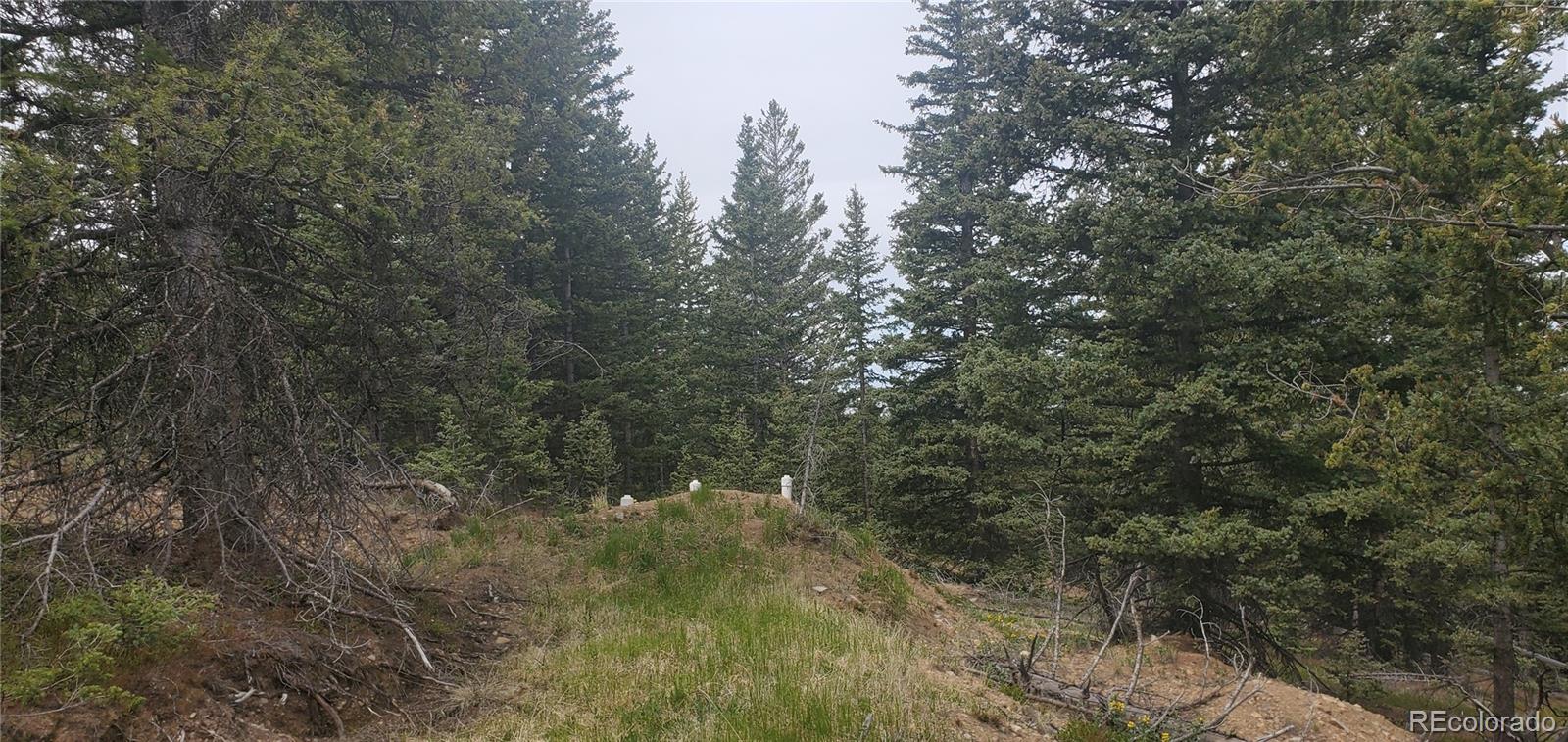 6601 Heckman Road San Luis, CO 81152 - Photo 21 of 25
