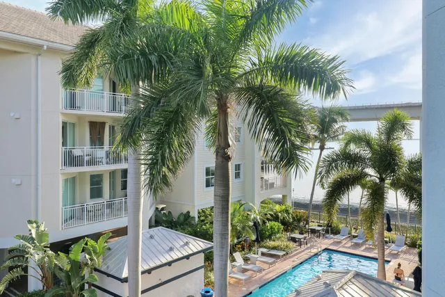a view of a backyard with palm trees