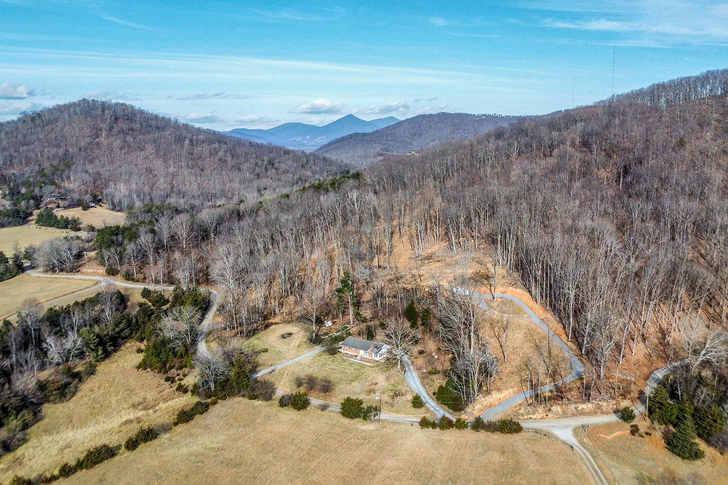 2068 Pilot Mountain Road Moneta, VA 24121 - Photo 2 of 2 a view of a yard with a mountain