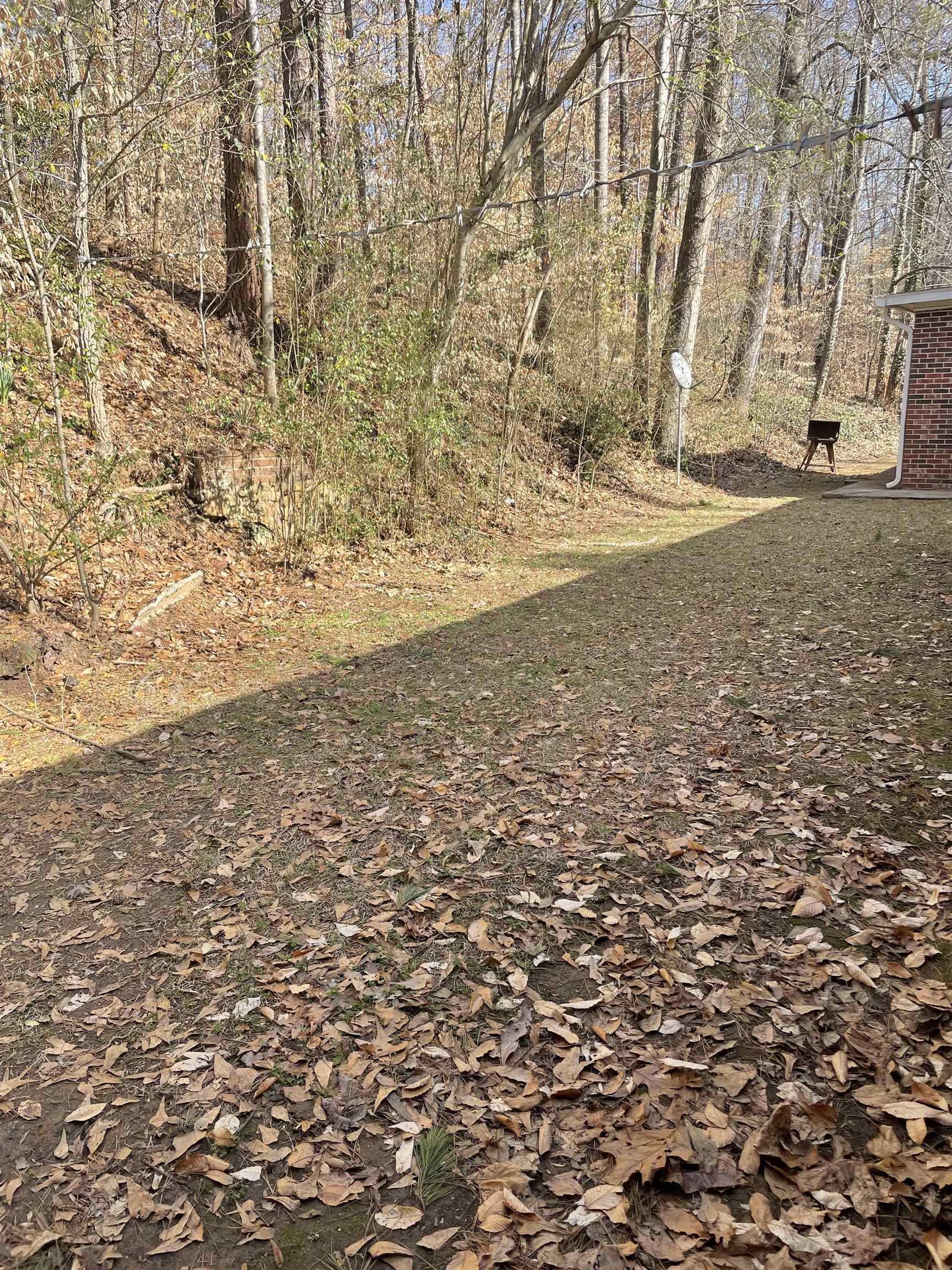 225 Presley Way Toccoa, GA 30577 - Photo 8 of 10