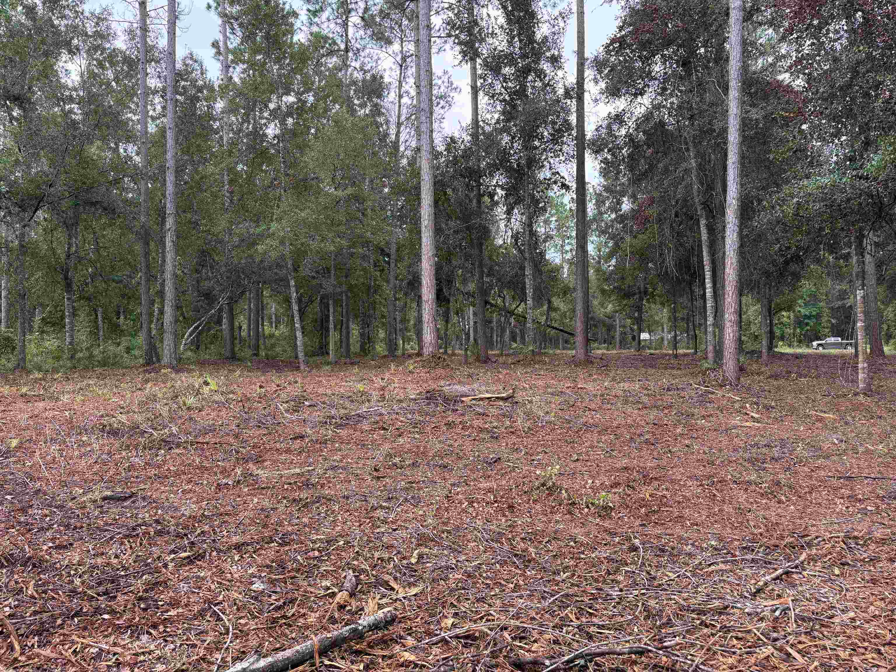 0 Walker Springs Road Monticello, FL 32344 - Photo 8 of 21 Gallery Image 8