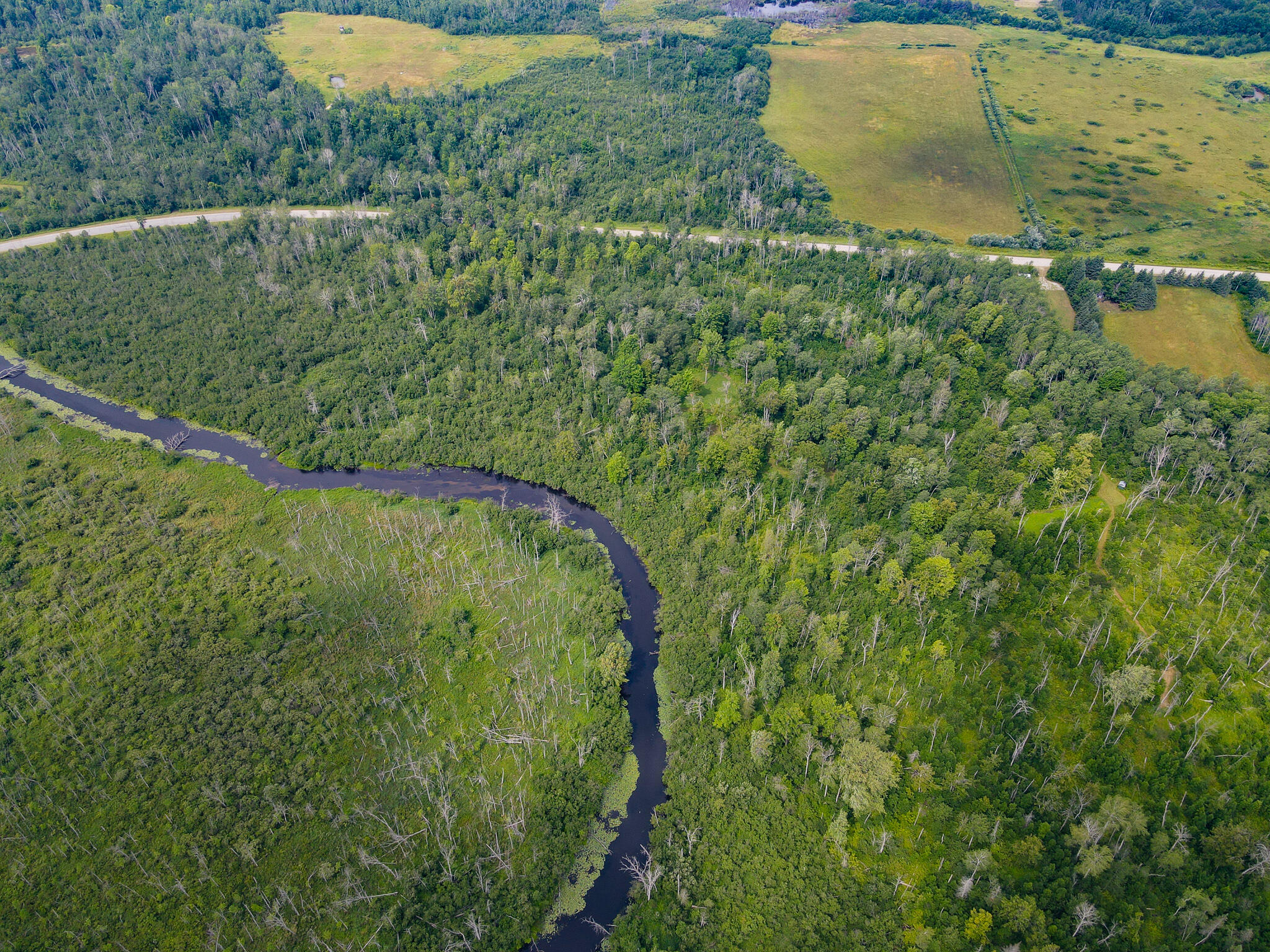 0 North Merritt Road Merritt, MI 49667 - Photo 3 of 54 DJI_0980